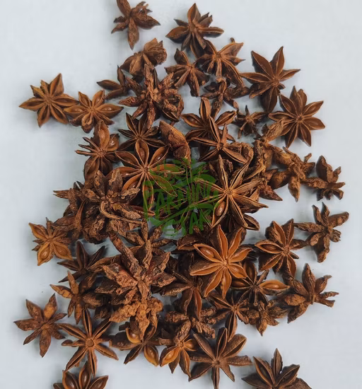 판매용 신선한 향신료 스타 아니스 가을 스타 아니스
